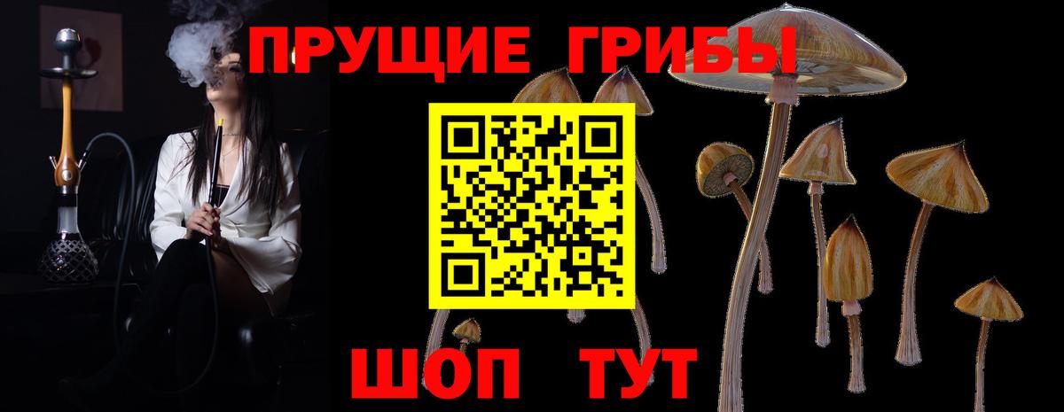 Псилоцибиновые грибы GOLDEN TEACHER  Вход с VPN  Братск  Галлюциногенные грибы Psilocybine cubensis 